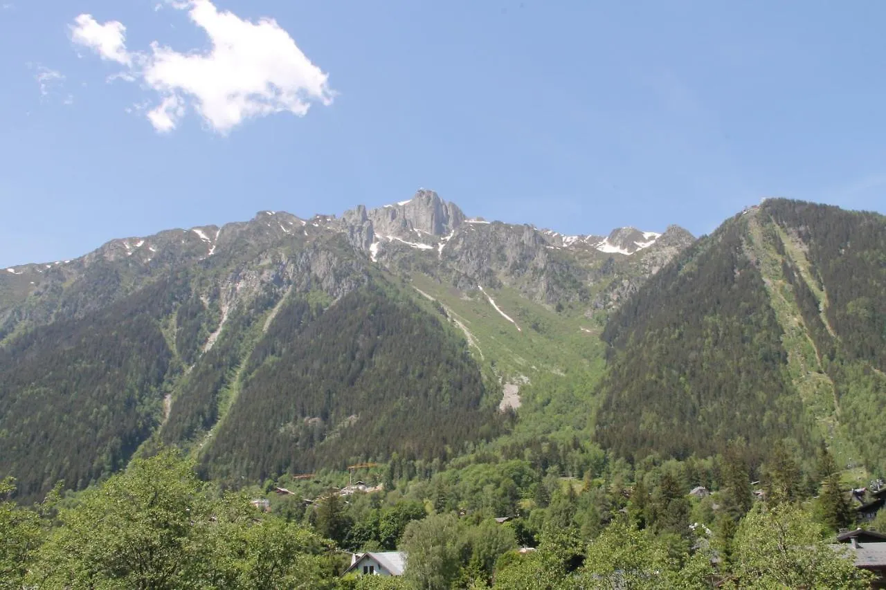 Appt Cosy Au Centre De Chamonix公寓 法国